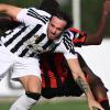 Immagine news Altre notizie n.1