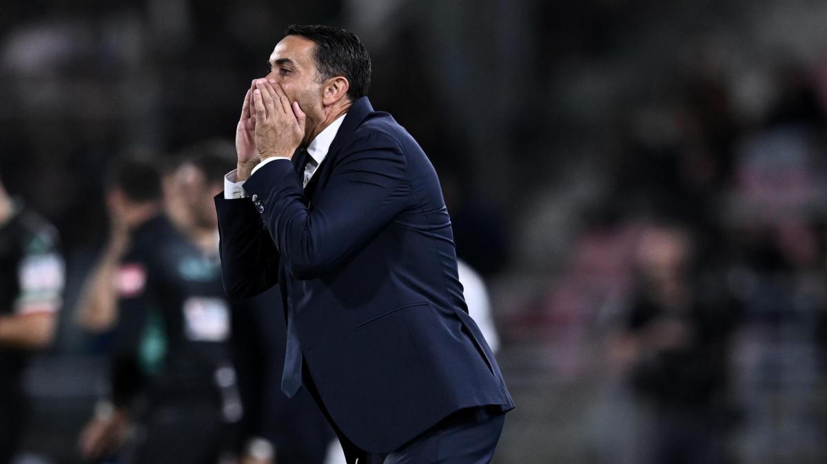 Bologna, Palladino vuole un ex portiere della Juventus: il nome...