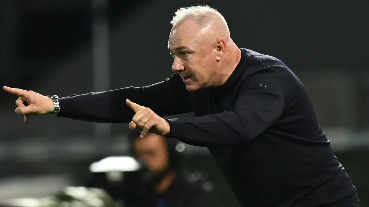 Frosinone su Cheddira, Alvini spera di averlo in tempo per la Juve, altrimenti davanti spazio a Raimondo