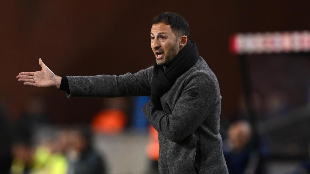 Brighton-Bologna 1-0: la decide un gol di Hinshelwood