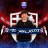 UFFICIALE-PRO Sangiorgese, ecco  Vittorio Salemme