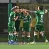 All'ultima giornata della stagione regolare, i Lupi sbranano i Canarini e approdano addirittura ai play off