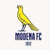 Modena-Avellino: i 24 canarini convocati