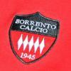 A Sorrento i tifosi come quelli dei lupi: acquistato il logo 