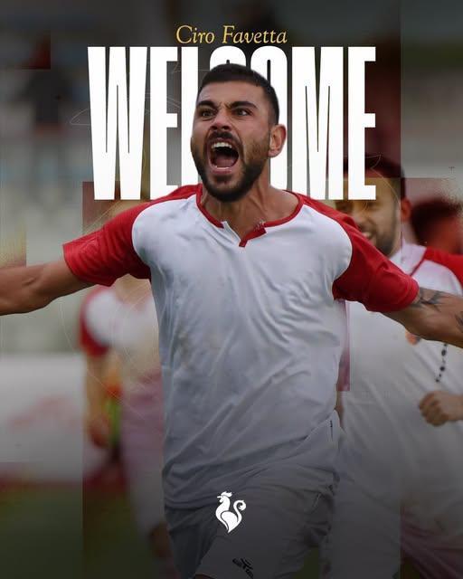 UFFICIALE-Real Aversa, ecco Ciro Favetta