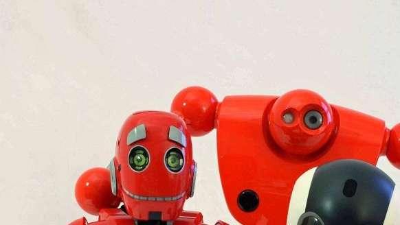 Mostra Io, Robotto
