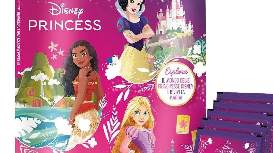 Disney Princess - Un viaggio straordinario... con le 13 Principesse