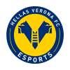 Immagine news eSports n.6