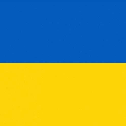 Ucraina, il team Natus Vincere a difesa del proprio paese 