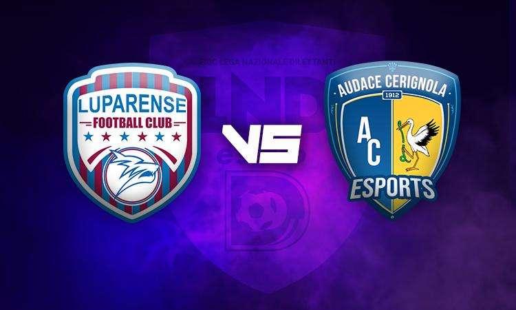 eSerieD, stasera la 19a giornata con live streaming Luparense - Audace Cerignola