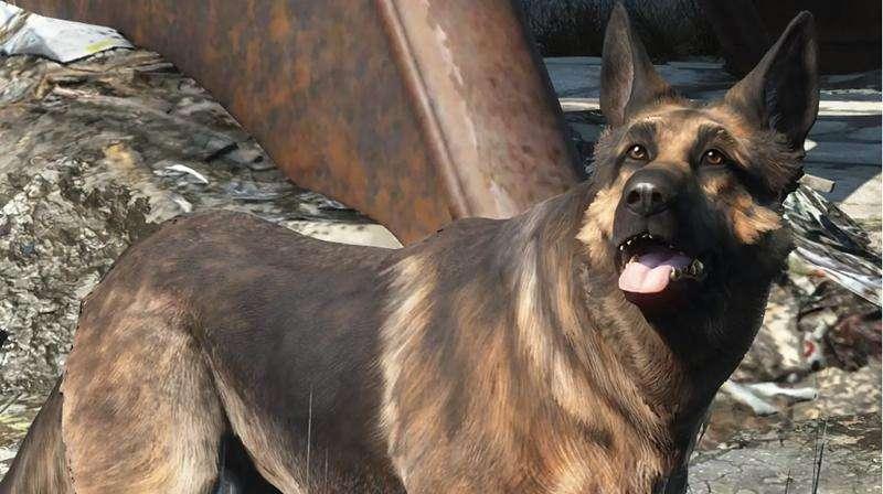 É morta River, il cane che ha ispirato il pastore tedesco virtuale Dogmeat di Fallout 4
