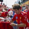 F1 | Piria fa la gerarchia: "Kimi poi Ferrari. SF-26 deve essere cauta"