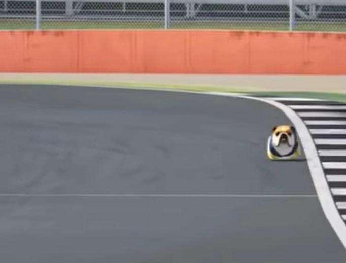 F1 | Hamilton e il video esilarante: Roscoe corre a Silverstone!