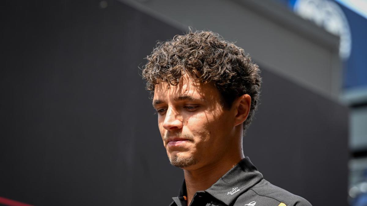 F1 | Norris grande favorito in gara? Vanzini non è d'accordo