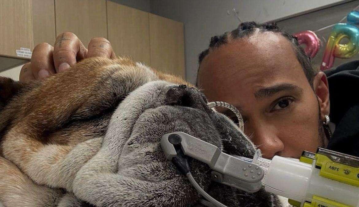 F1 | Ferrari, Hamilton, Roscoe e il cuore umano di un campione 