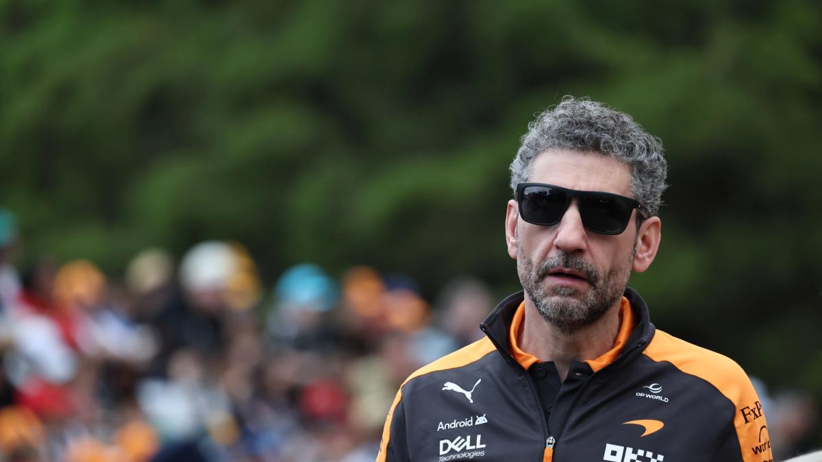 F1 | McLaren boccia lo sviluppi della MCL40: Stella spiega perché