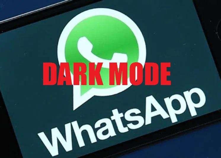 WhatsApp / Arriva il Dark Mode: come funziona la chat di notte?