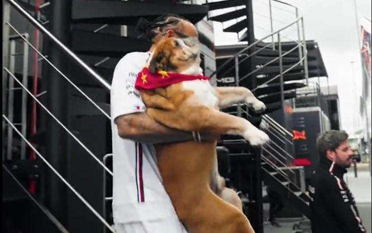 F1 | Silverstone, è tornato Roscoe! Hamilton felice, Mick raggiante