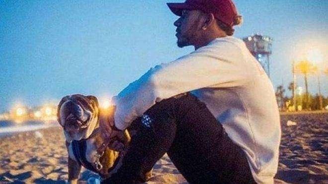 F1 / Mercedes, Hamilton annuncia: "Il mio cane è diventato vegano come me"