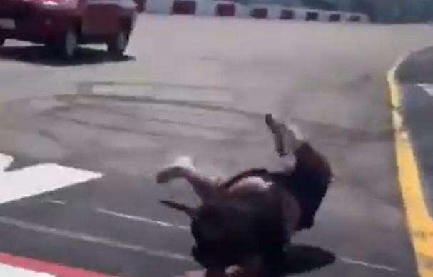Formula 1 | Sochi, la follia di Norris: il meme pro-Hamilton è super condiviso