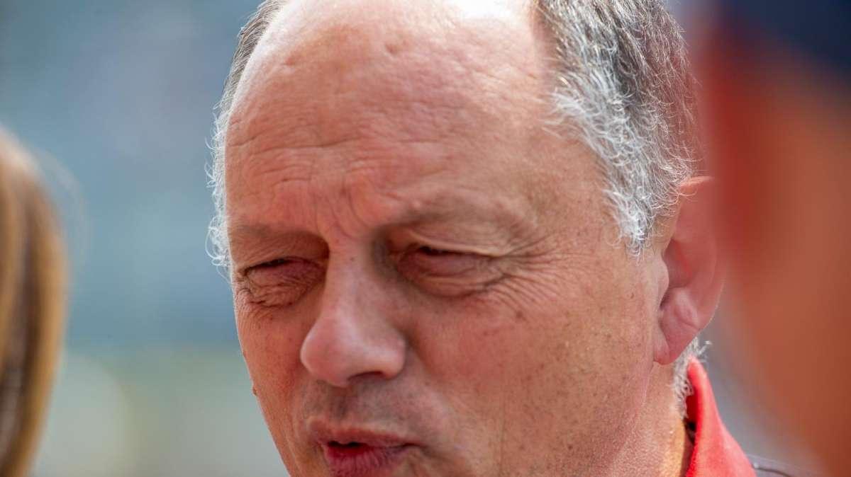 F1 | Ferrari, Vasseur piccante su Newey e quel paragone sul PSG...