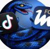 Reel, video, approfondimenti e curiosità sul mondo Inter: segui FcInterNews anche su Tik Tok