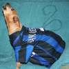 Le vostre foto - Daisy esulta al gol di Milito!