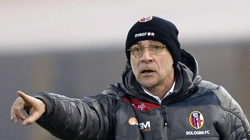 Qui Bologna - Ballardini verso il 3-5-1-1. Krhin c'è