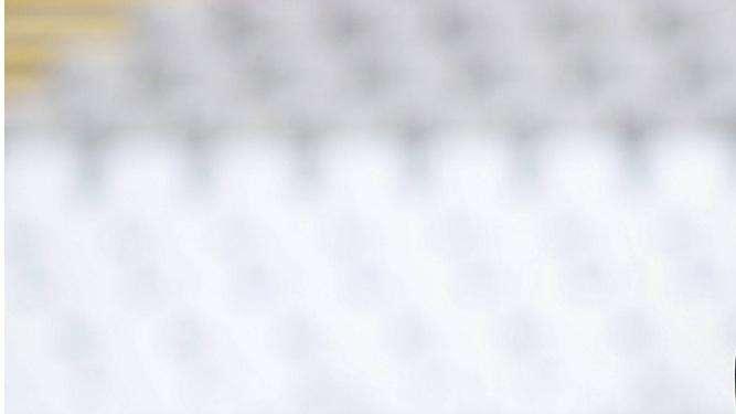 Piaceva a Inter e Milan: Eduardo Quaresma rinnoverà con lo Sporting Lisbona