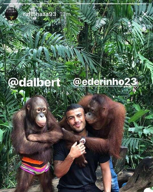 Rafinha posa con due scimmie e non dimentica Eder e Dalbert: "Felice di essere con voi, fratelli"