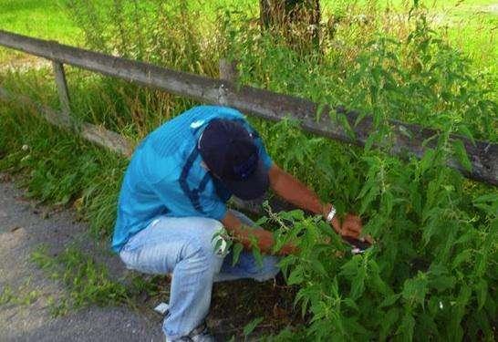 A Pinzolo c'è da lavorare e Toldo fa il... giardiniere!