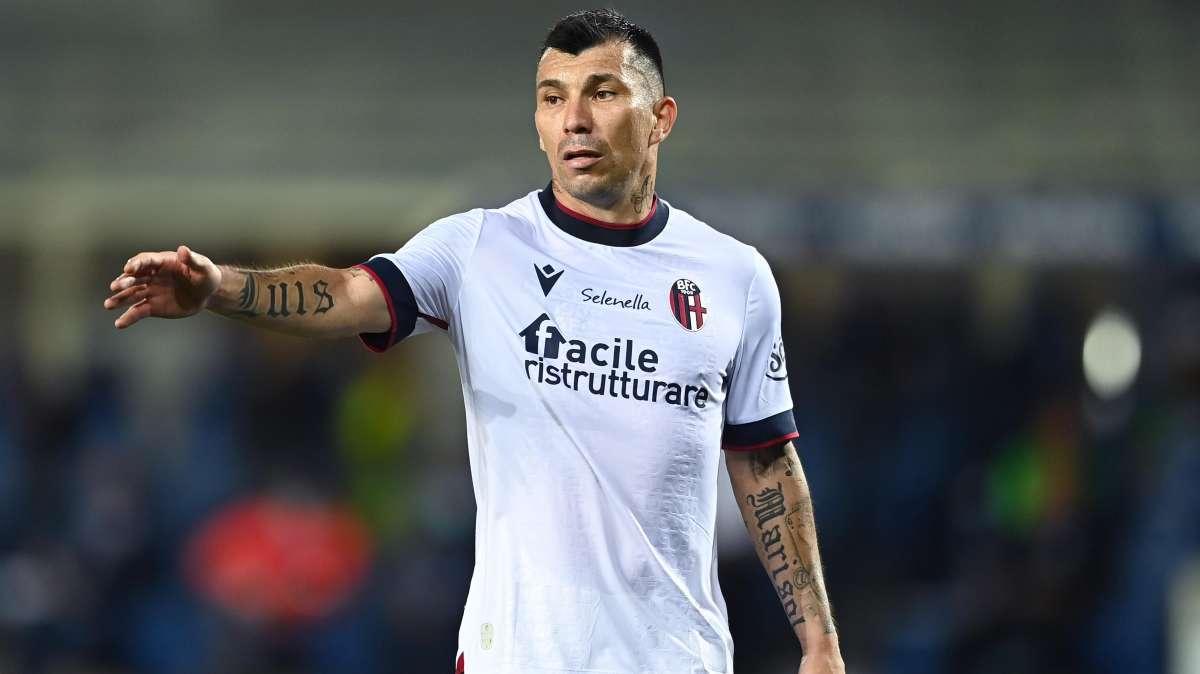 UFFICIALE - Medel-Bologna avanti insieme per un'altra stagione: rinnovo fino al 2023