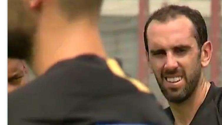 Godin: "Vorrei giocare un'altra finale di Champions. Conte simile al Cholo"
