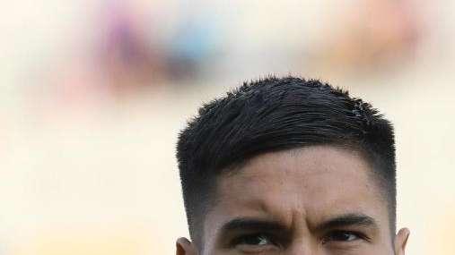 Fiorentina, Diks: "Col Var non si dovrebbe esagerare"