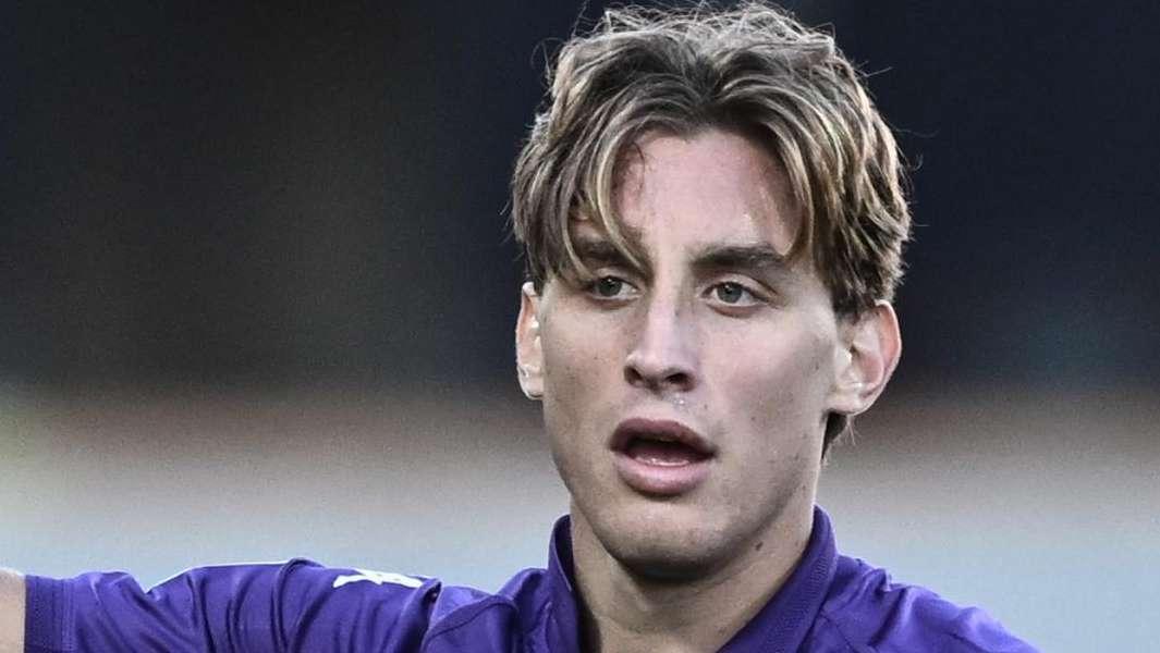 GdS - Bove estubato, nuovo bollettino medico in giornata: altri esami per capire le cause