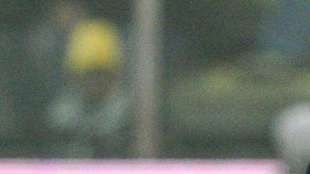 No al Pescara per Duncan. Chievo e russi su Mariga