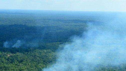 L'Amazzonia brucia, il messaggio dell'Inter: "Il calcio è vita, la natura è vita. We #PrayForAmazonia"