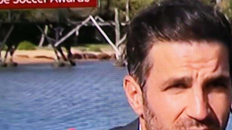 Como, Fabregas: "Richieste sul mercato? Ancora no, sta ai miei ragazzi dimostrare di essere da A"