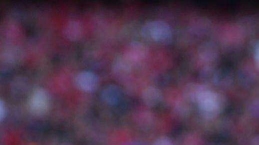 Kicker - Perisic, il Bayern valuta il riscatto. Opzione esercitabile per 20-25 milioni