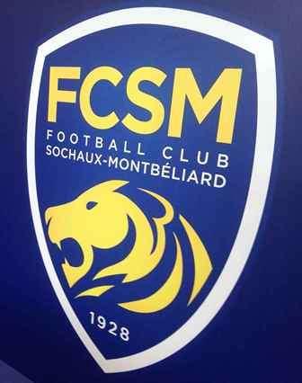 Sochaux, proprietario cinese in bancarotta: ira dei tifosi