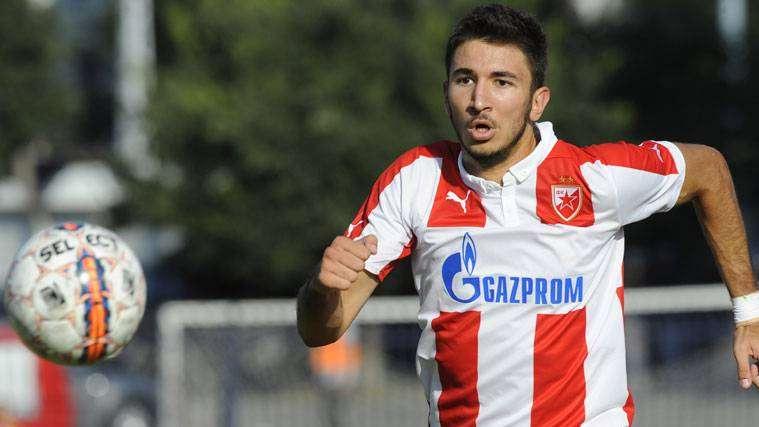 Inter su Grujic, Di Biagio: "Mi ricorda Michel del Real" 
