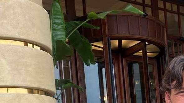 Verona, Cioffi si presenta: "Obiettivo salvezza, la mia sfida è cercare di eguagliare le gestioni Juric e Tudor"
