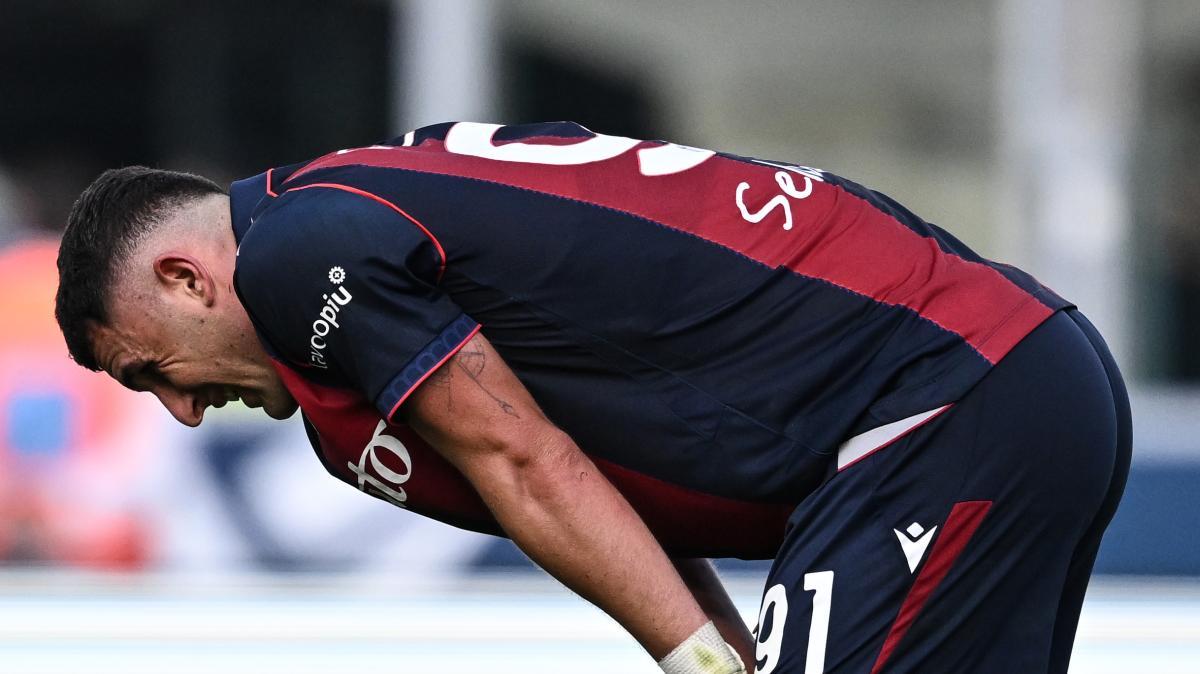 Il Resto del Carlino - Bologna, sindrome Dall'Ara: 15 partite senza vincere in casa