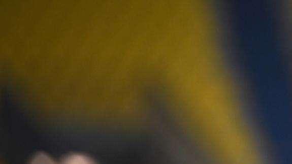 Paulo Sousa lascia il Bordeaux, decade l'interesse per Borja Valero