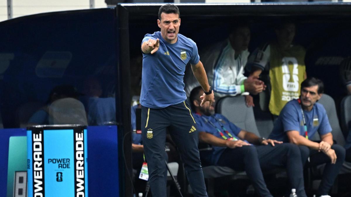 Argentina, Scaloni: "Contenti per il gol di Lautaro. Lui e Alvarez ancora insieme? Serve equilibrio"