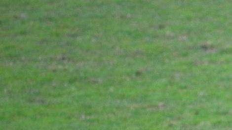 Inter Primavera, Bonfanti: "Grazie a coloro che mi sono stati vicini. Pronto a ripartire"