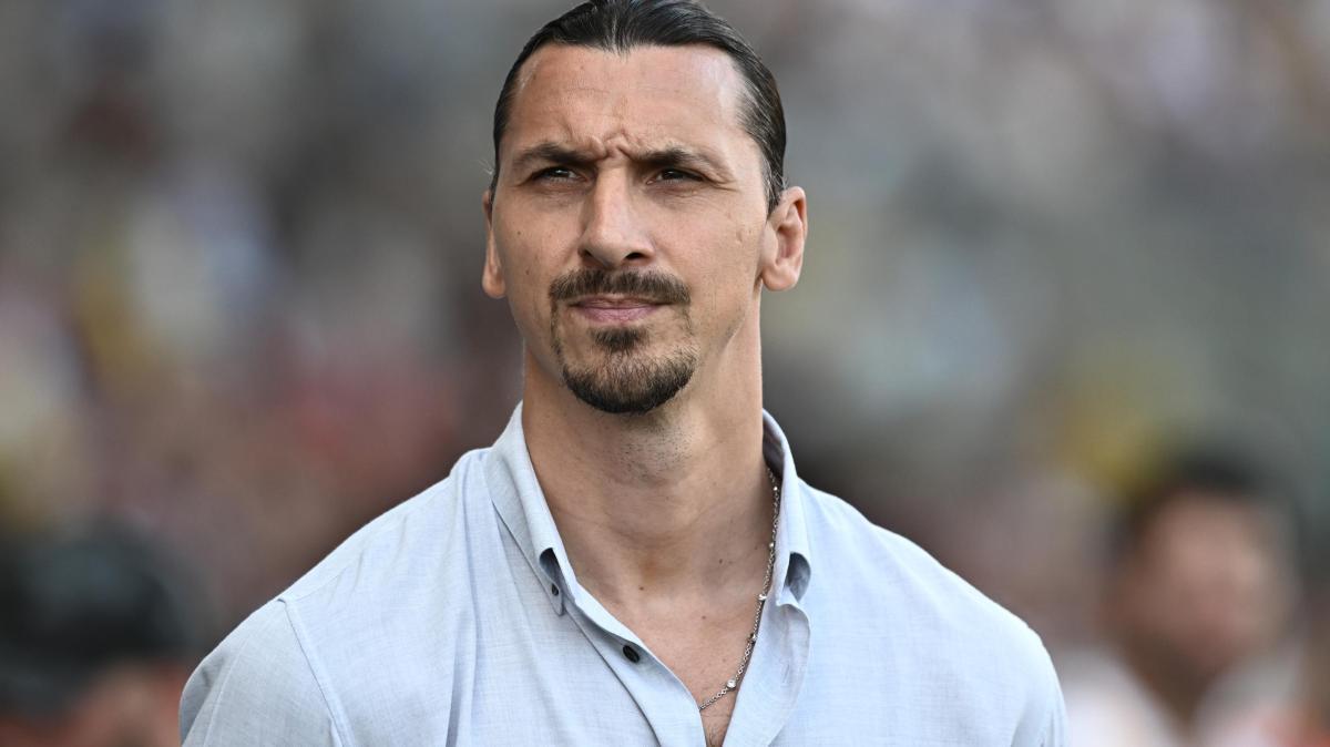 Anche Cardinale e Ibrahimovic all'allenamento del Milan