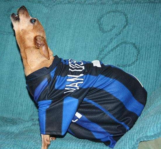 Le vostre foto - Daisy esulta al gol di Milito!