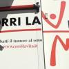 Immagine news News n.1