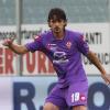 Immagine news Ex viola n.3